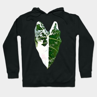 ALOCASIA FRYDEK VARIEGATED Hoodie